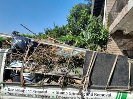 Best Furniture Removal  in Johnson Lane, NV